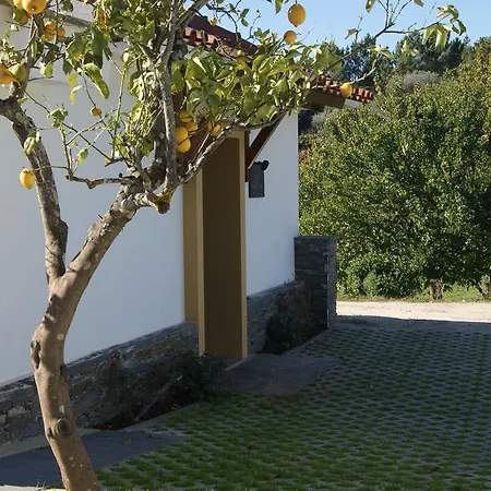 Casa de Campo Casa De Santo Antão - *