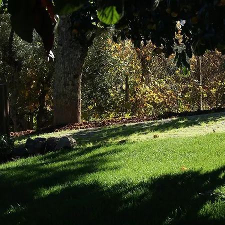 Casa de Campo Casa De Santo Antão -