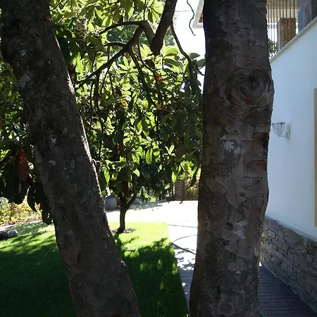 Casa De Santo Antao - Landhuis *