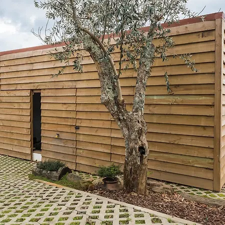 Casa De Santo Antao - * Padroes (Coimbra)