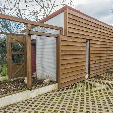 Casa De Santo Antão - Casa de Campo Padroes (Coimbra)