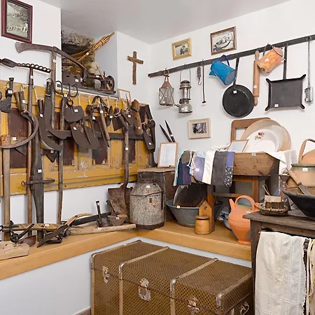 Casa De Santo Antão - Casa de Campo Padroes (Coimbra)