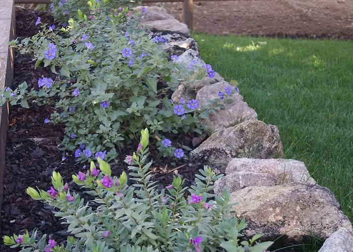 Casa De Santo Antao - Country house Padroes (Coimbra)