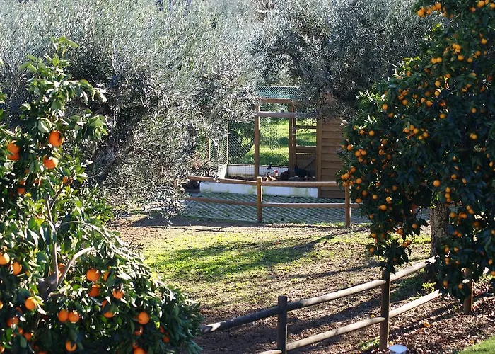 Casa De Santo Antao - *