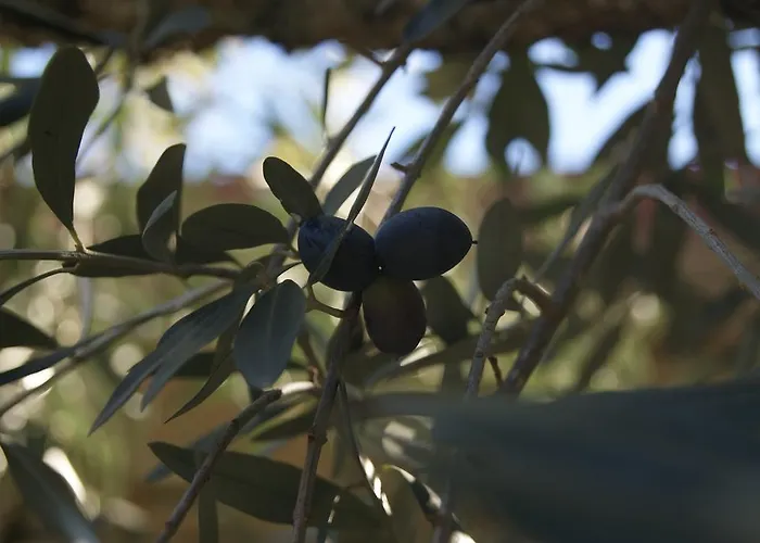 Country house Casa De Santo Antao -