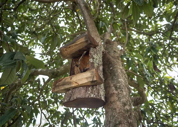 Casa De Santo Antao - Padroes (Coimbra)